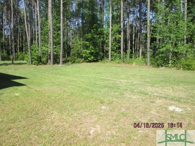 25 Frank Edwards Rd, Ellabell, GA 31308 - photo 29