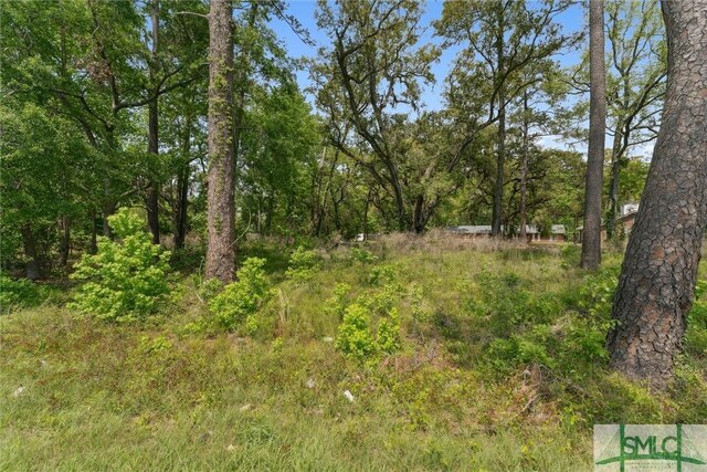 0 Silk Hope Rd, Savannah, GA 31405