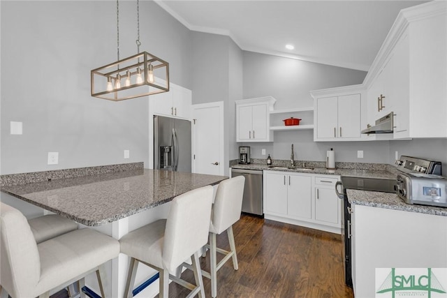 kitchen featuring vaulted ceiling, a sink, appliances with stainless steel finishes, a peninsula, and under cabinet range hood