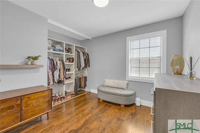 spacious closet with wood finished floors