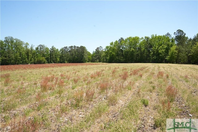 0 Clifton Rd Lot 2, Statesboro, GA 30458 - photo 2