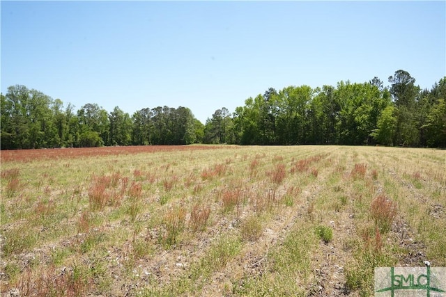 0 Clifton Rd Lot 2, Statesboro, GA 30458 - photo 3