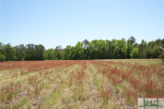 0 Clifton Rd Lot 2, Statesboro, GA 30458 - photo 4