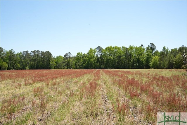 0 Clifton Rd Lot 2, Statesboro, GA 30458 - photo 5
