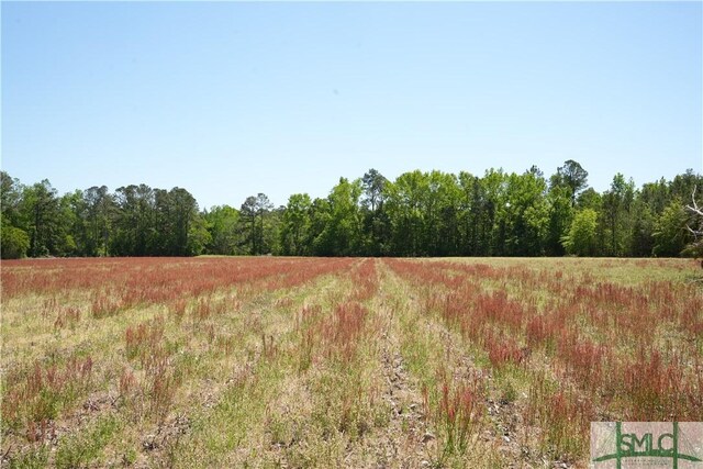 0 Clifton Rd Lot 2, Statesboro, GA 30458 - photo 6
