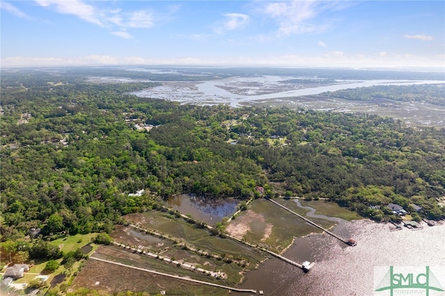 14 Galleon Ct, Savannah, GA 31406 - photo 49