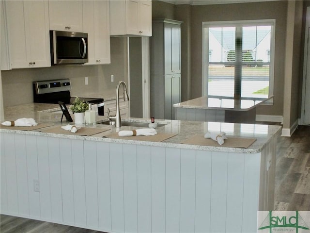 kitchen featuring a peninsula, a sink, appliances with stainless steel finishes, and dark wood finished floors