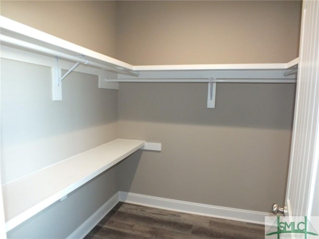 walk in closet featuring dark wood-style flooring