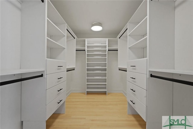 walk in closet with light wood finished floors