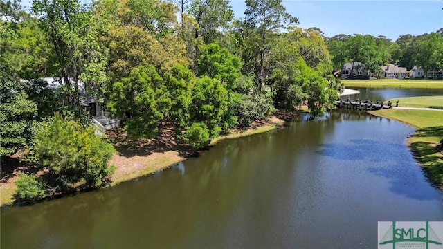 3 Schroeder Ct, Savannah, GA 31411 - photo 39