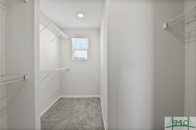 3 Newberry Dr, Savannah, GA 31419 - photo 24