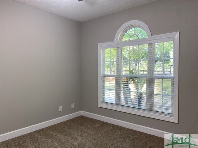589 Old Mill Creek Rd, Ellabell, GA 31308 - photo 34