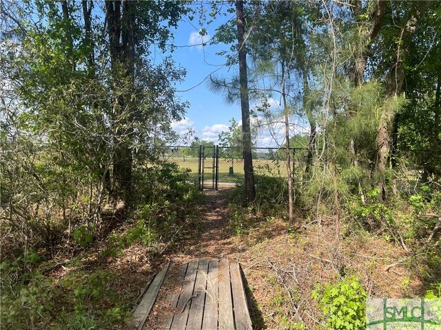 589 Old Mill Creek Rd, Ellabell, GA 31308 - photo 40