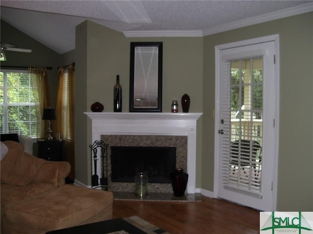 living room with a premium fireplace, wood finished floors, and plenty of natural light