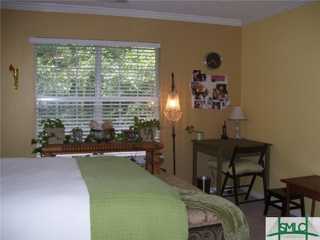 bedroom with crown molding