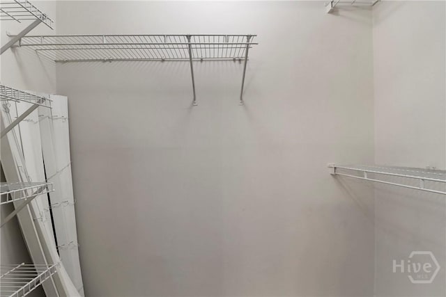 12300 Apache Ave Unit 1212, Savannah, GA 31419 - view of walk in closet