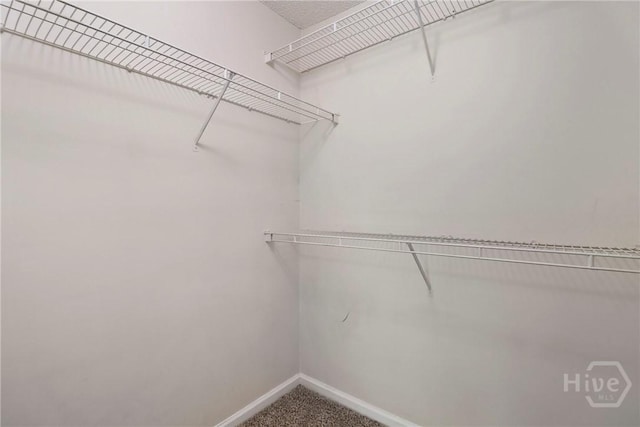 12300 Apache Ave Unit 1212, Savannah, GA 31419 - spacious closet with carpet floors