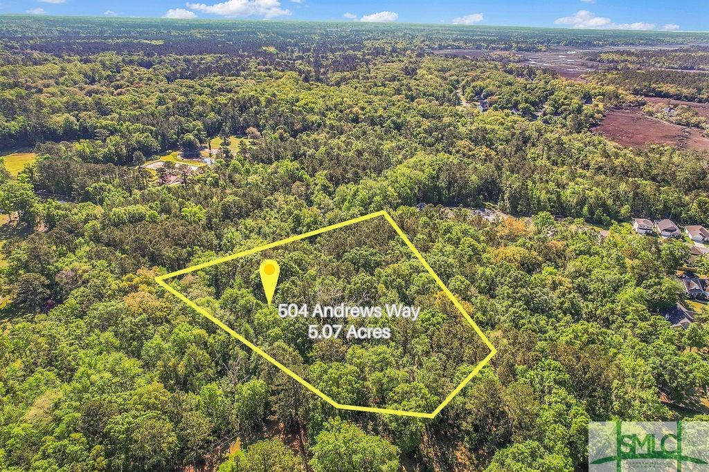 504 Andrews Way, Richmond Hill, GA 31324