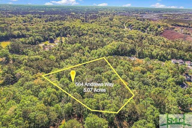 504 Andrews Way, Richmond Hill, GA 31324