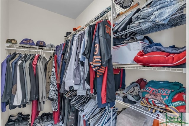 view of walk in closet