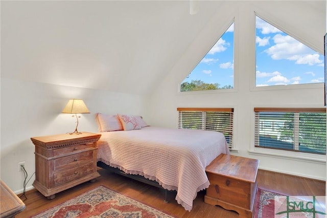 12 Carpenter Rd, Tybee Island, GA 31328 - bedroom featuring lofted ceiling and wood finished floors