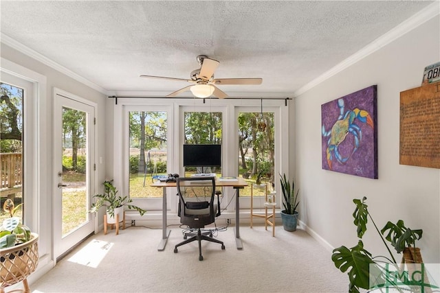 office with a textured ceiling, carpet floors, a healthy amount of sunlight, and ornamental molding