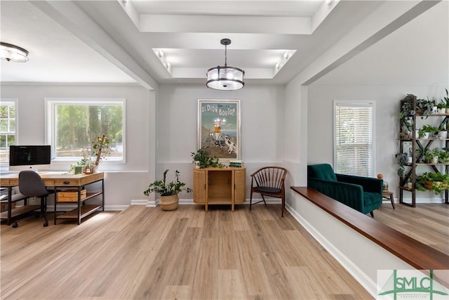 living area featuring baseboards, wood finished floors, and a raised ceiling