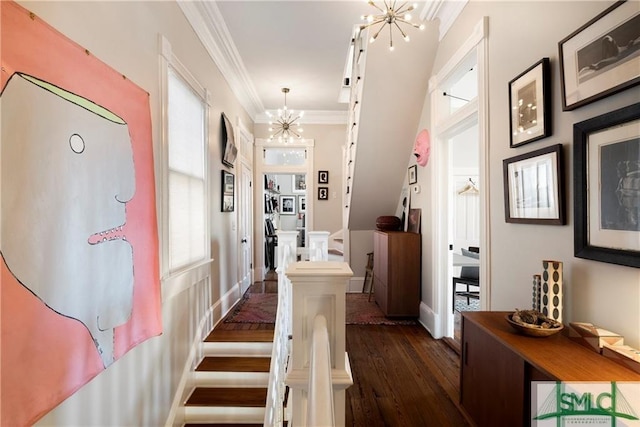 corridor featuring ornamental molding, baseboards, dark wood-style flooring, and a chandelier