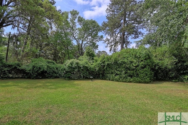 121 Steerforth Rd, Savannah, GA 31410 - view of yard