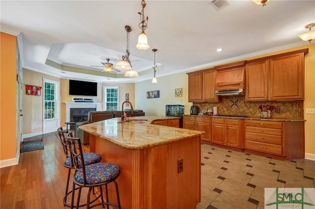 kitchen with a sink, ceiling fan, ornamental molding, light stone countertops, and visible vents