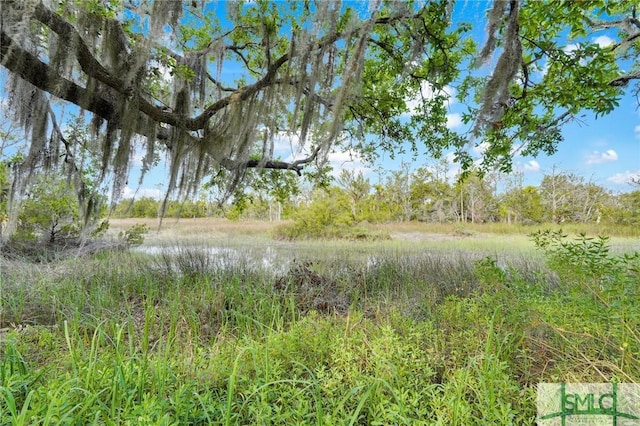 view of nature