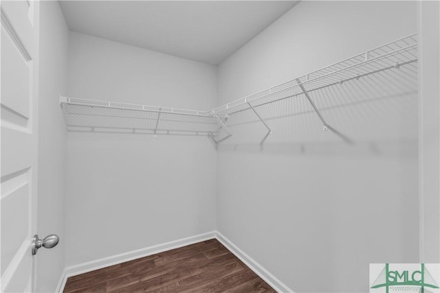 19 Arrowhead Way, Port Wentworth, GA 31407 - spacious closet featuring dark wood-style floors