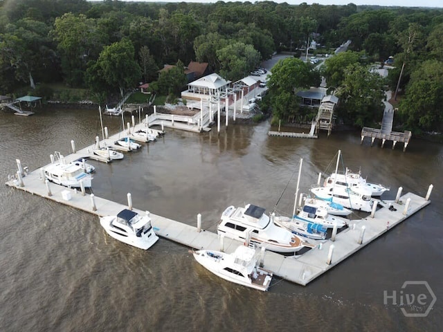 116 Rose Dhu Way, Savannah, GA 31419 - dock area featuring a water view and a view of trees