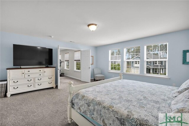 378 Southwilde Way, Pooler, GA 31322 - bedroom with carpet flooring and baseboards