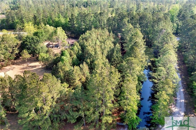 birds eye view of property with a water view and a forest view