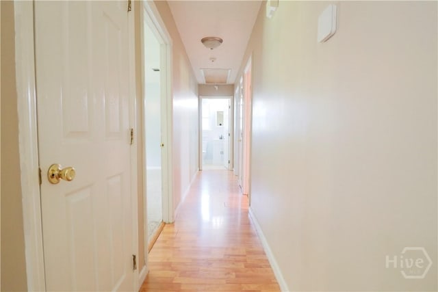 309 Wilkinson Rd NE, Ludowici, GA 31316 - hall featuring attic access, light wood-style flooring, and baseboards