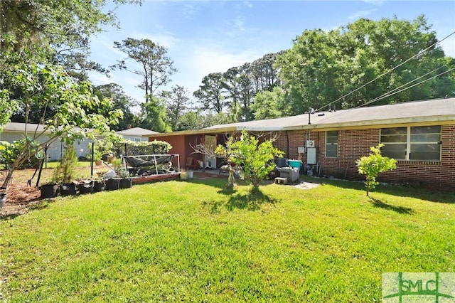 back of house featuring a yard