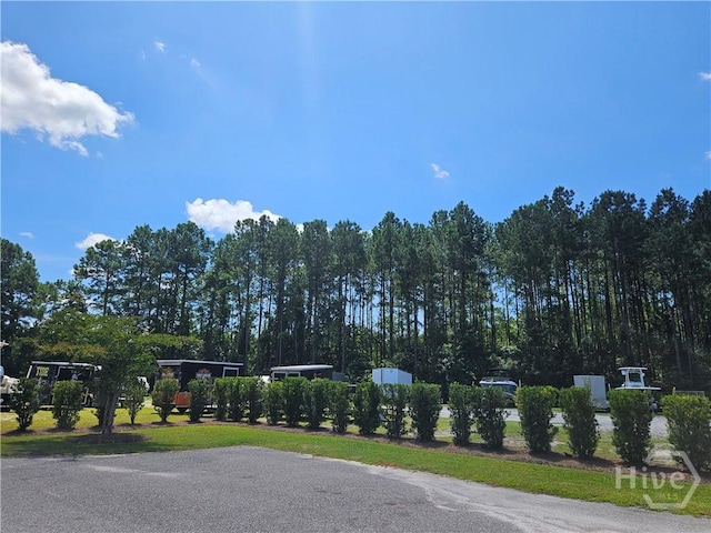 123 Shortleaf Trl, Richmond Hill, GA 31324 - photo 56