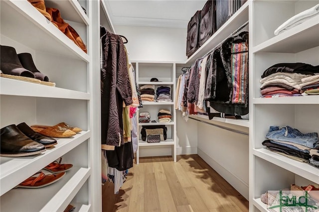 31 Tivoli Ln, Richmond Hill, GA 31324 - walk in closet with light wood finished floors