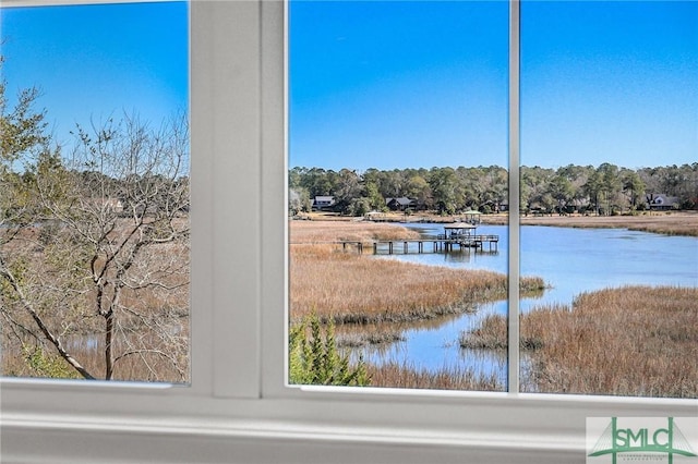 31 Tivoli Ln, Richmond Hill, GA 31324 - view of water feature