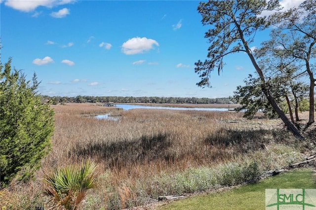 31 Tivoli Ln, Richmond Hill, GA 31324 - water view