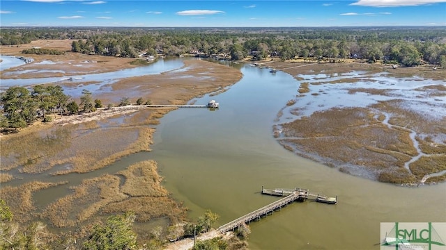 31 Tivoli Ln, Richmond Hill, GA 31324 - birds eye view of property with a water view