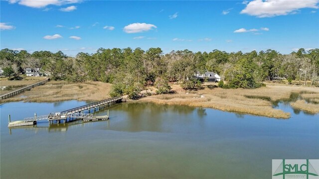 31 Tivoli Ln, Richmond Hill, GA 31324 - dock area with a water view