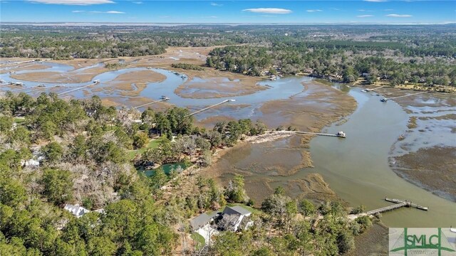 31 Tivoli Ln, Richmond Hill, GA 31324 - drone / aerial view featuring a wooded view and a water view