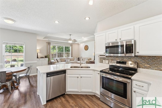 kitchen with a sink, appliances with stainless steel finishes, ceiling fan, dark wood finished floors, and a peninsula
