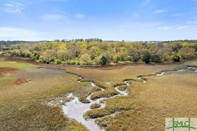 LOT8 Bermuda Bluff Ln, Midway, GA 31320