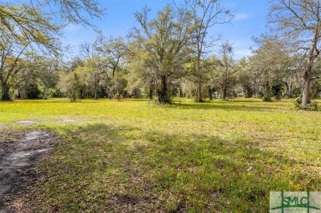 LOT8 Bermuda Bluff Ln, Midway, GA 31320