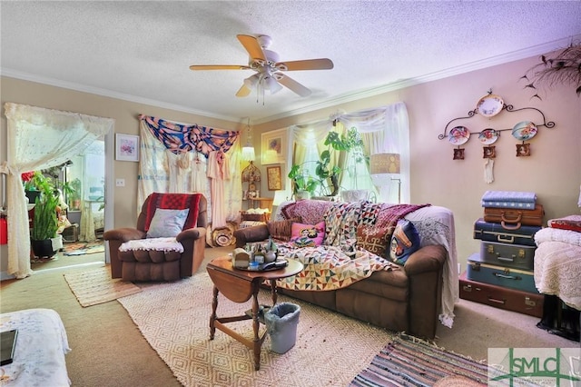 carpeted living area featuring crown molding, a ceiling fan, a wealth of natural light, and a textured ceiling