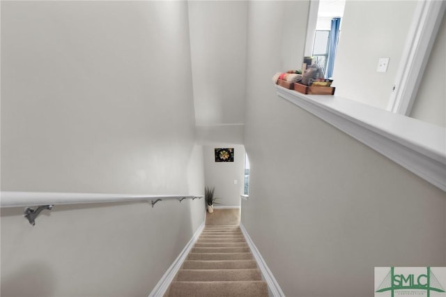 stairway featuring baseboards and carpet