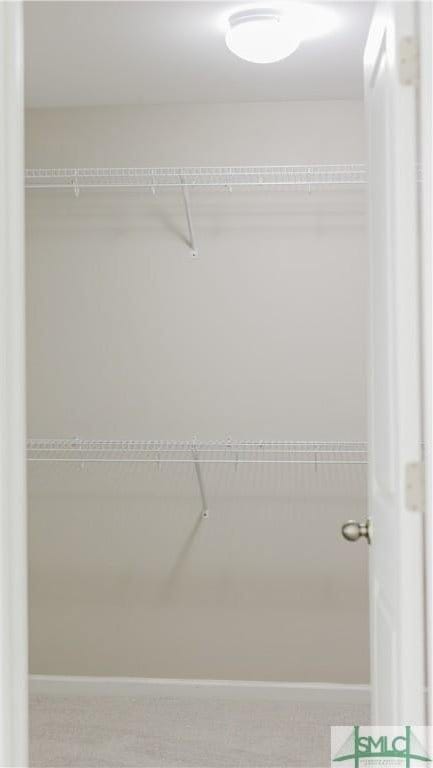 154 Hamilton Grove Dr, Pooler, GA 31322 - view of walk in closet